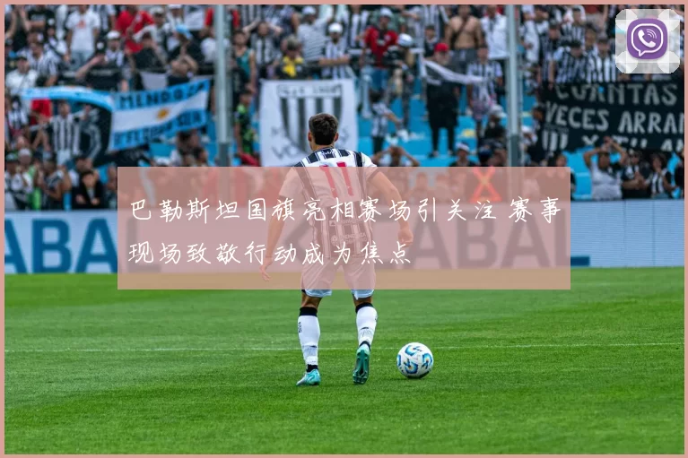 巴勒斯坦国旗亮相赛场引关注 赛事现场致敬行动成为焦点