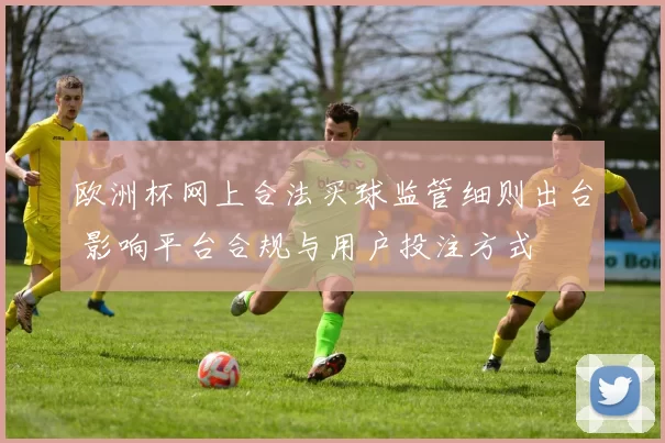 欧洲杯网上合法买球监管细则出台 影响平台合规与用户投注方式