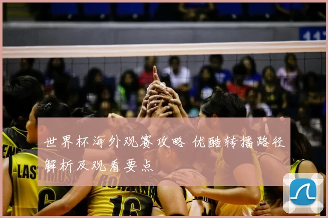 世界杯海外观赛攻略 优酷转播路径解析及观看要点