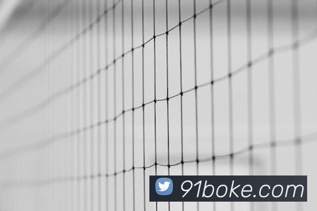 滚球买球的app(中国)有限公司 - 官网APP 封面图